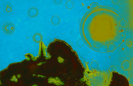 Von Cotu: Pyro Chemography: Luna Reef