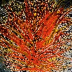Von Cotu: Newest Images: Letting Go