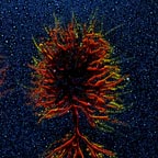 Von Cotu: Newest Images: Vision Tree