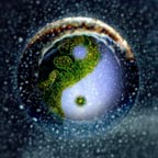 Von Cotu: Newest Images: True Self