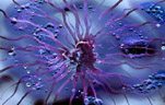 Creations Of The Universe - Video 3